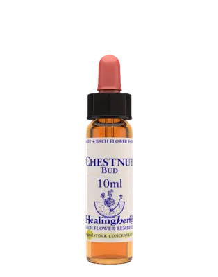 CHESTNUT BUD ESSENZA 10 ML 1 PEZZO CHESTNUT BUD ESSENZA 10 ML 1 PEZZO