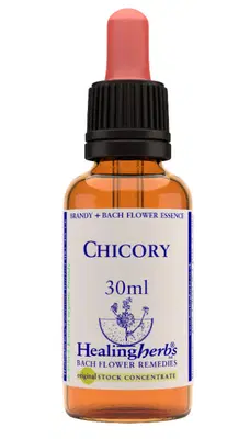 CHICORY ESSENZA 30 ML 1 PEZZO CHICORY ESSENZA 30 ML 1 PEZZO
