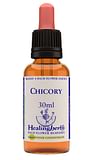 CHICORY ESSENZA 30 ML 1 PEZZO