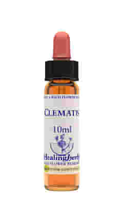 CLEMATIS ESSENZA 10 ML 1 PEZZO