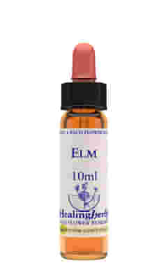 ELM ESSENZA 10 ML 1 PEZZO