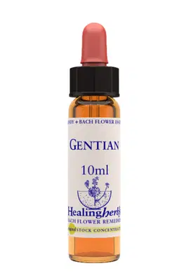GENTIAN ESSENZA 10 ML 1 PEZZO GENTIAN ESSENZA 10 ML 1 PEZZO