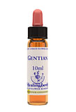 GENTIAN ESSENZA 10 ML 1 PEZZO