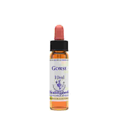 GORSE ESSENZA 10 ML 1 PEZZO