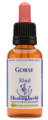 GORSE ESSENZA 30 ML 1 PEZZO GORSE ESSENZA 30 ML 1 PEZZO