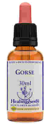 GORSE ESSENZA 30 ML 1 PEZZO