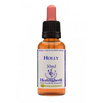 HOLLY ESSENZA 30 ML 1 PEZZO HOLLY ESSENZA 30 ML 1 PEZZO