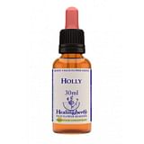HOLLY ESSENZA 30 ML 1 PEZZO