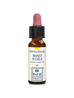 HONEYSUCKLE ESSENZA 30 ML 1 PEZZO HONEYSUCKLE ESSENZA 30 ML 1 PEZZO