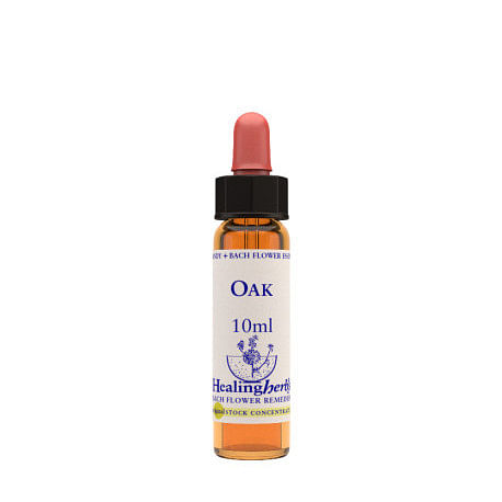 Oak Essenza 10 Ml 1 Pezzo