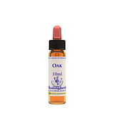 OAK ESSENZA 10 ML 1 PEZZO