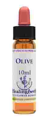 OLIVE ESSENZA 10 ML 1 PEZZO