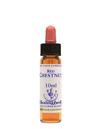 Red Chestnut Essenza 10 Ml 1 Pezzo