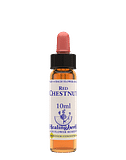 RED CHESTNUT ESSENZA 10 ML 1 PEZZO