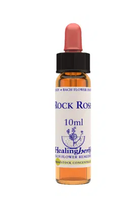 ROCK ROSE ESSENZA 10 ML 1 PEZZO ROCK ROSE ESSENZA 10 ML 1 PEZZO