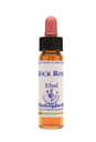 ROCK ROSE ESSENZA 10 ML 1 PEZZO