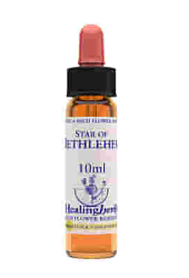 STAR OF BETHLEHEM ESSENZA 10 ML 1 PEZZO