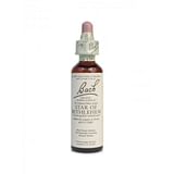 STAR OF BETHLEHEM ESSENZA 30 ML 1 PEZZO