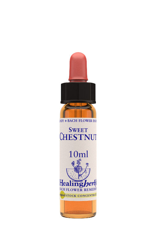 Sweet Chest Essenza 10 Ml 1 Pezzo