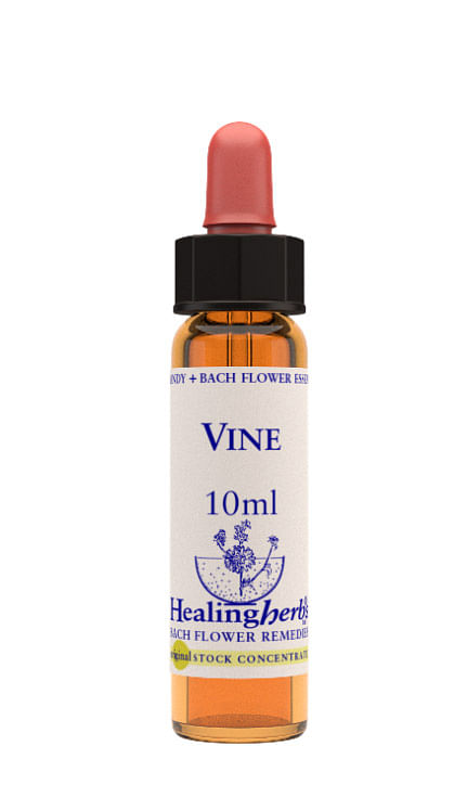 Vine Essenza 10 Ml 1 Pezzo