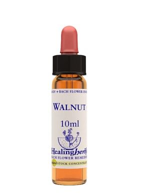 Walnut Essenza 10 Ml 1 Pezzo