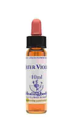 WATER VIOLET ESSENZA 10 ML 1 PEZZO