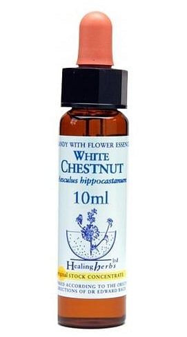 White Chest Essenza 10 Ml 1 Pezzo