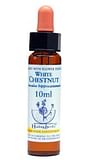 WHITE CHEST ESSENZA 10 ML 1 PEZZO