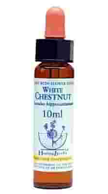 WHITE CHEST ESSENZA 10 ML 1 PEZZO