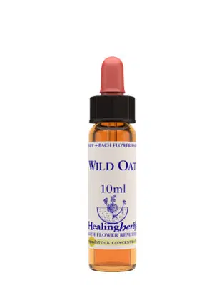 WILD OAT ESSENZA 10 ML 1 PEZZO WILD OAT ESSENZA 10 ML 1 PEZZO