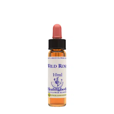 WILD ROSE ESSENZA 10 ML 1 PEZZO WILD ROSE ESSENZA 10 ML 1 PEZZO