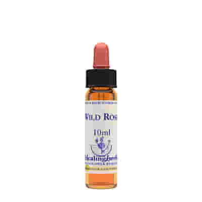 WILD ROSE ESSENZA 10 ML 1 PEZZO