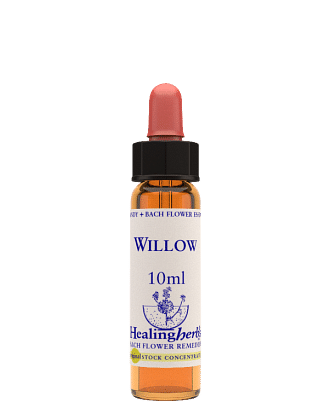 Willow Essenza 10 Ml 1 Pezzo