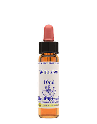 WILLOW ESSENZA 10 ML 1 PEZZO