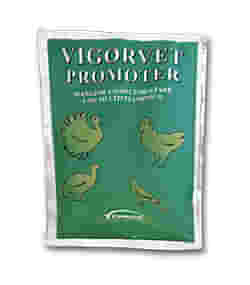 PROMOTER VIGORVET BUSTA 100 G