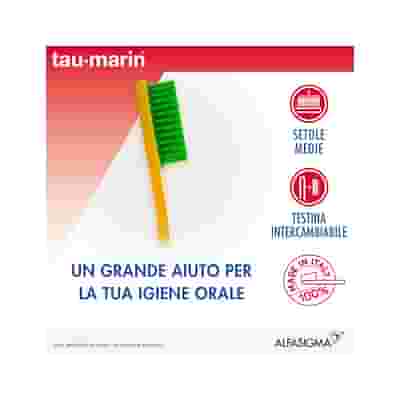 TAUMARIN MAGNUM SPAZZOLINO M INTERC