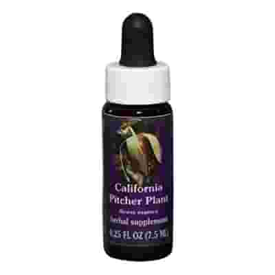 CALIFORNIA PITCHER 7,4ML CALF