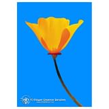 CALIFORNIA POPPY 7,4ML CALF