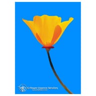 CALIFORNIA POPPY 7,4ML CALF