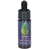 MULLEIN ESS 7,4ML CALF