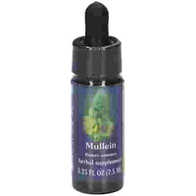 MULLEIN ESS 7,4ML CALF