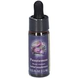 PENSTEMON ESS 7,4ML CALF