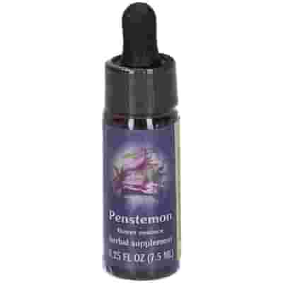 PENSTEMON ESS 7,4ML CALF