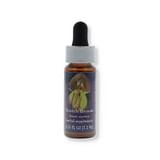 SCOTCH BROOM ESS 7,4ML CALF