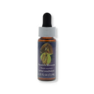SCOTCH BROOM ESS 7,4ML CALF