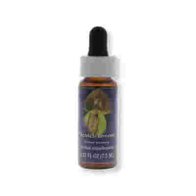 SCOTCH BROOM ESS 7,4ML CALF