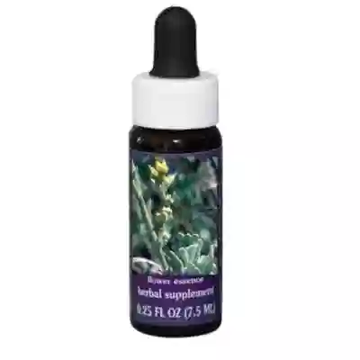 SELFHEAL ESS 7,4ML CALF