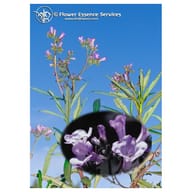 YERBA SANTA ESS 7,4ML CALF