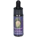 FAIRY LANTERN ESS 7,4ML CALF