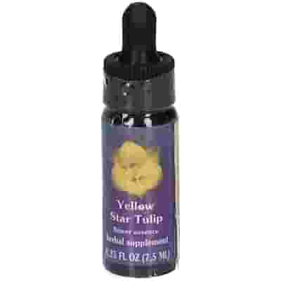 YELLOW STAR TULIP 7,4ML CALF